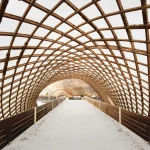 Restoring the Multihalle: A Modern Take on a Timber Gridshell Icon
