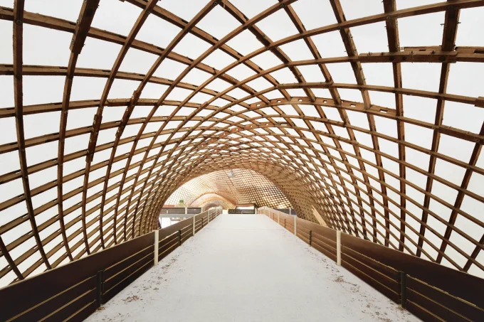 Restoring the Multihalle: A Modern Take on a Timber Gridshell Icon