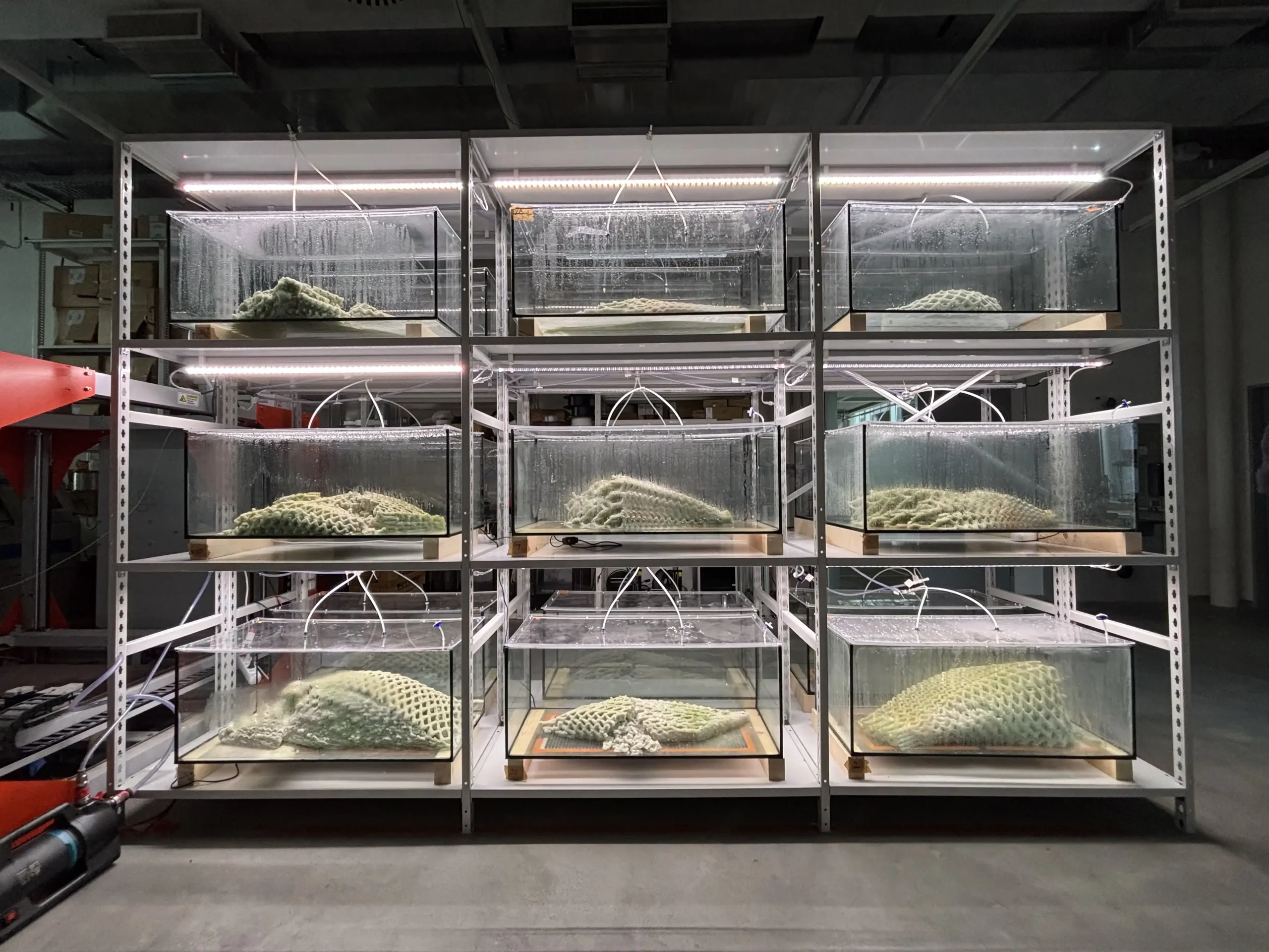 Picoplanktonics Turns the Canada Pavilion into a Living Laboratory at Venice Biennale 2025 4 Picoplanktonics Turns the Canada Pavilion into a Living Laboratory at Venice Biennale 2025