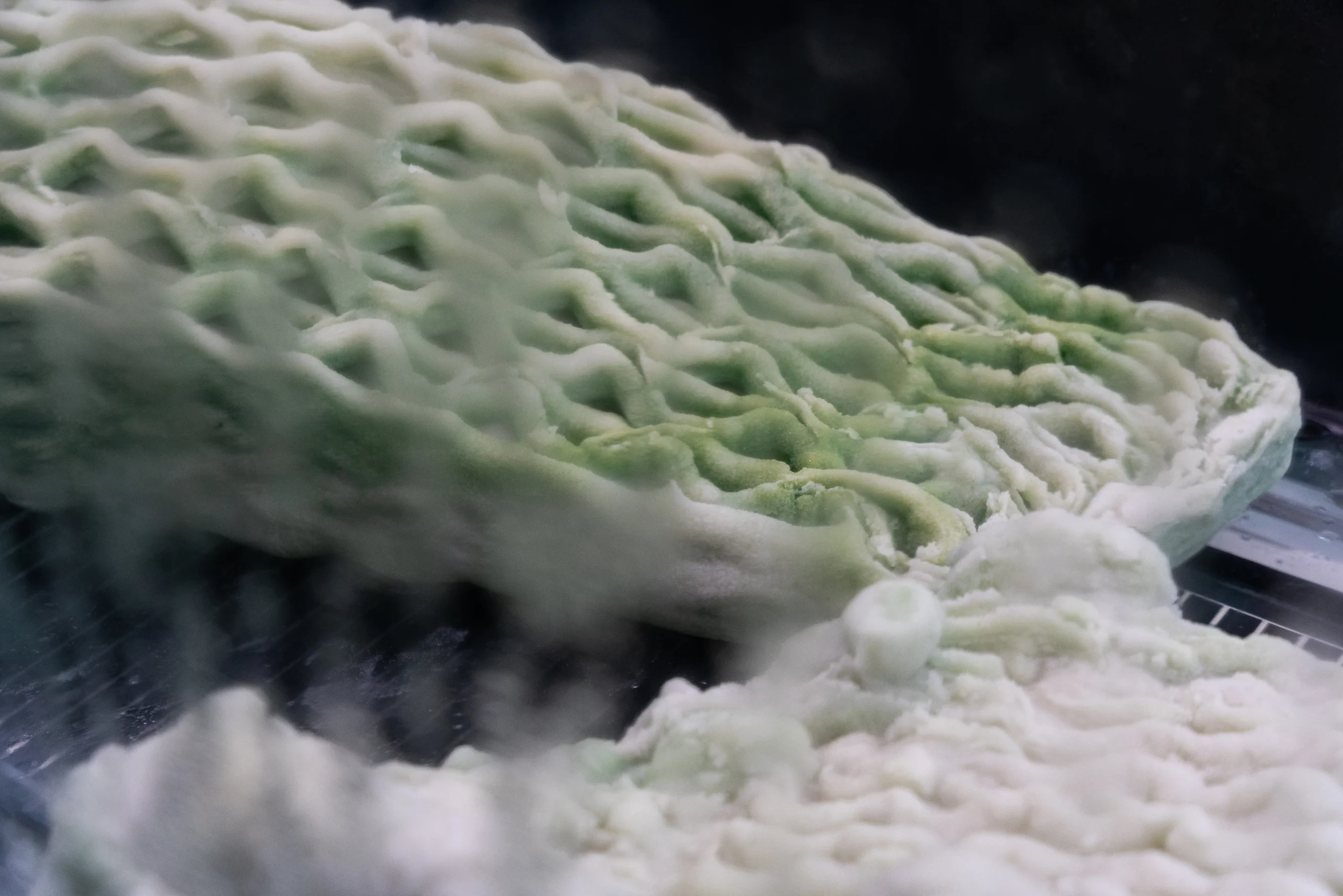 Picoplanktonics Turns the Canada Pavilion into a Living Laboratory at Venice Biennale 2025 5 Picoplanktonics Turns the Canada Pavilion into a Living Laboratory at Venice Biennale 2025