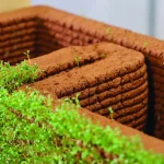 3D-Printed Soil Wall Sprout Greenery at Venice Biennale 2025