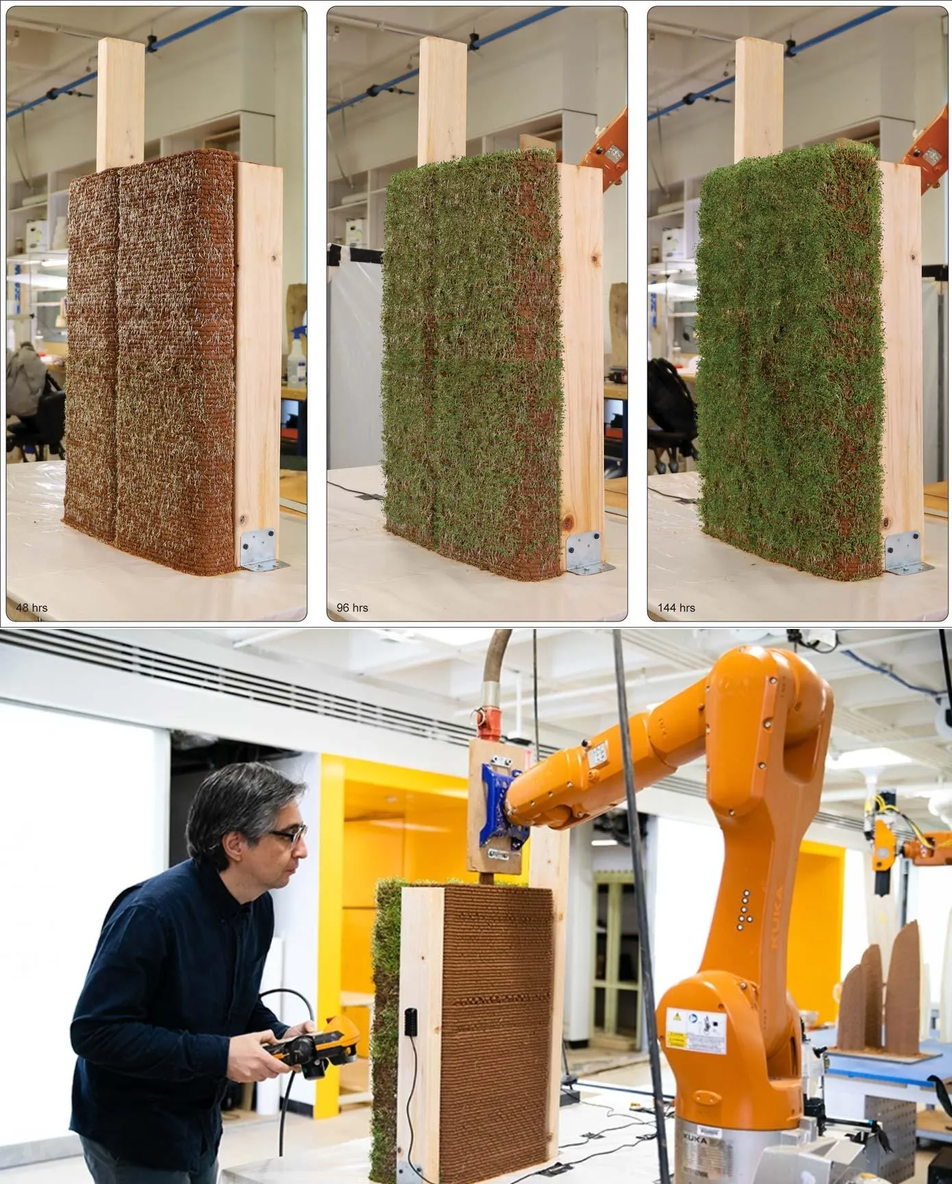 Ecologically Active Structure: 3D-Printed Soil Structure at Venice Biennale 2025 2 Achieving synergy through “Ecologically Active Structure”