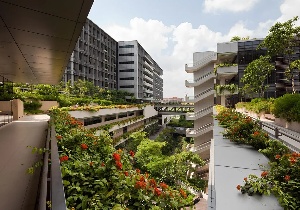 Biophilia in Architecture: Is it Sustainable? 7 Biophilia in Architecture: Is it Sustainable?