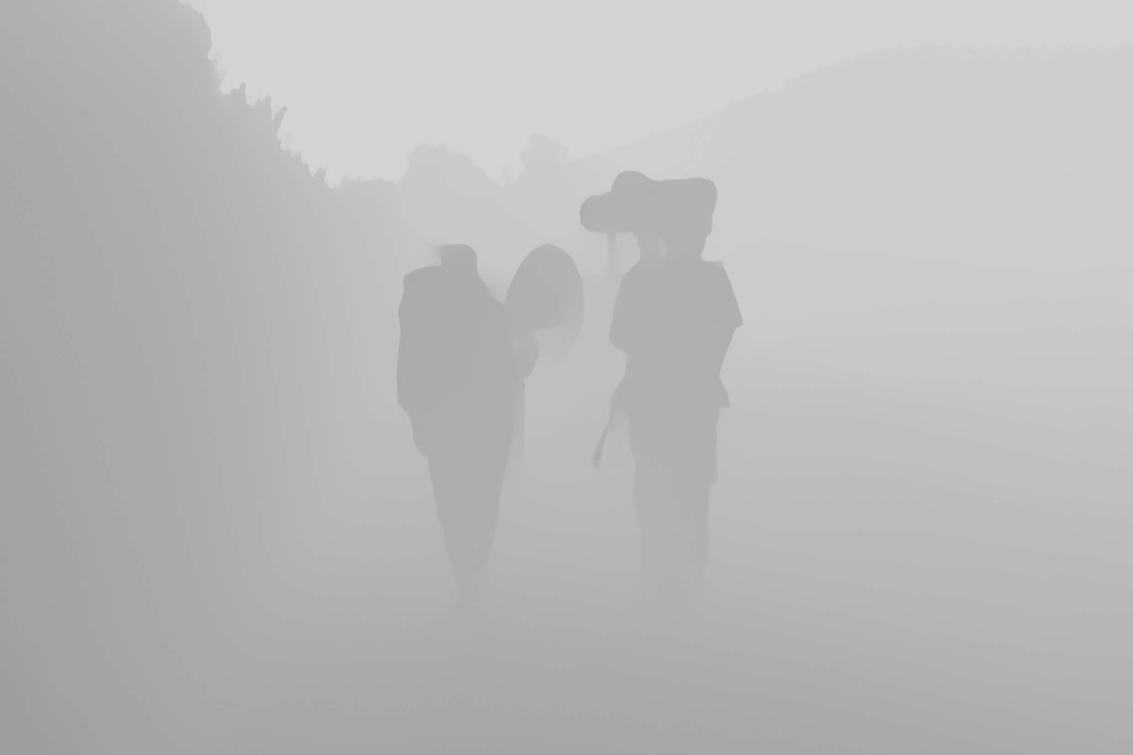 Luxembourg’s Sonic Pavilion Tunes Into the Architecture of Sound - PA |  Architecture & Technology