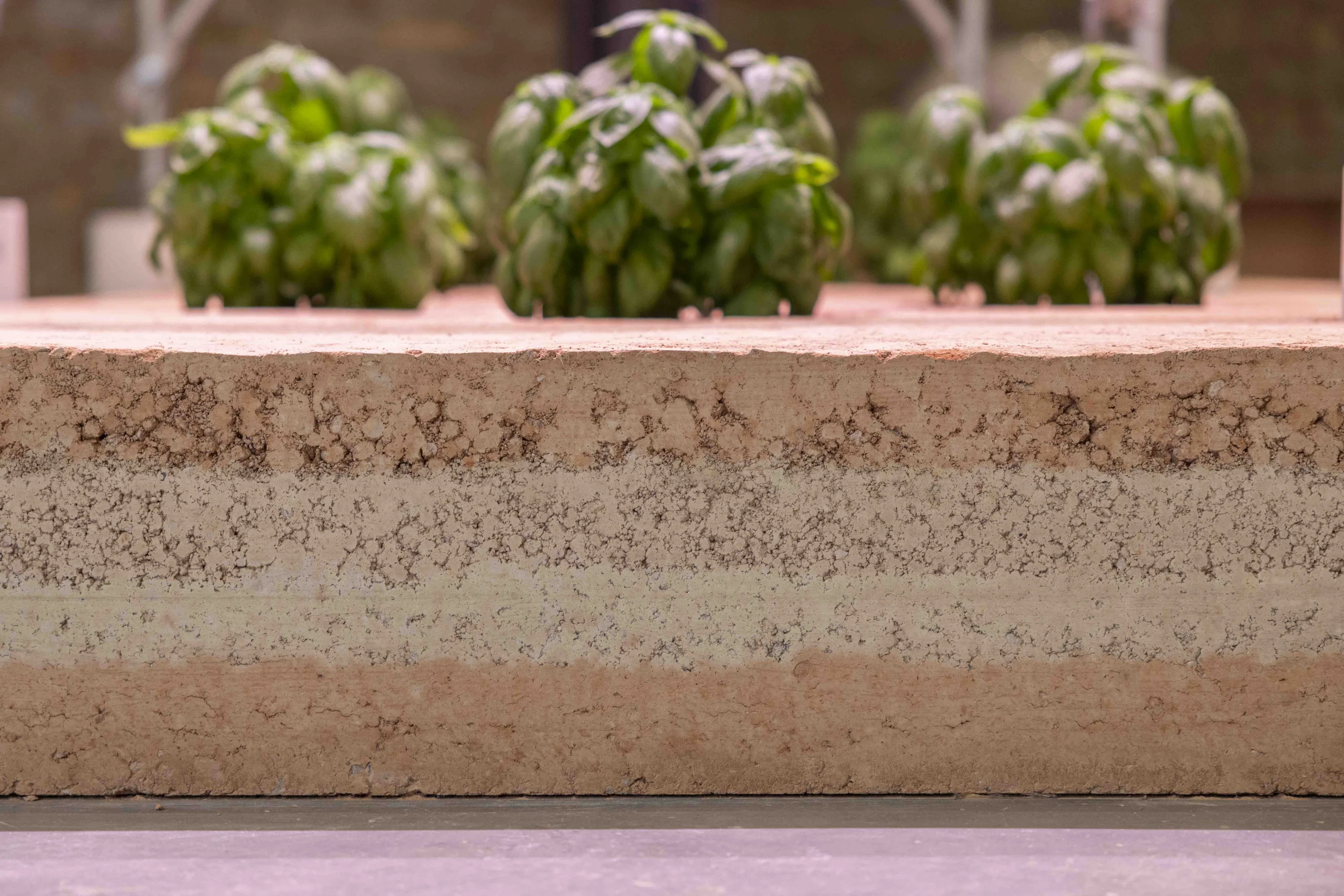 UAE's "Pressure Cooker" Pavilion at Venice Biennale Explores Architecture in a Climate Crisis 5 UAE's "Pressure Cooker" Pavilion at Venice Biennale Explores Architecture in a Climate Crisis