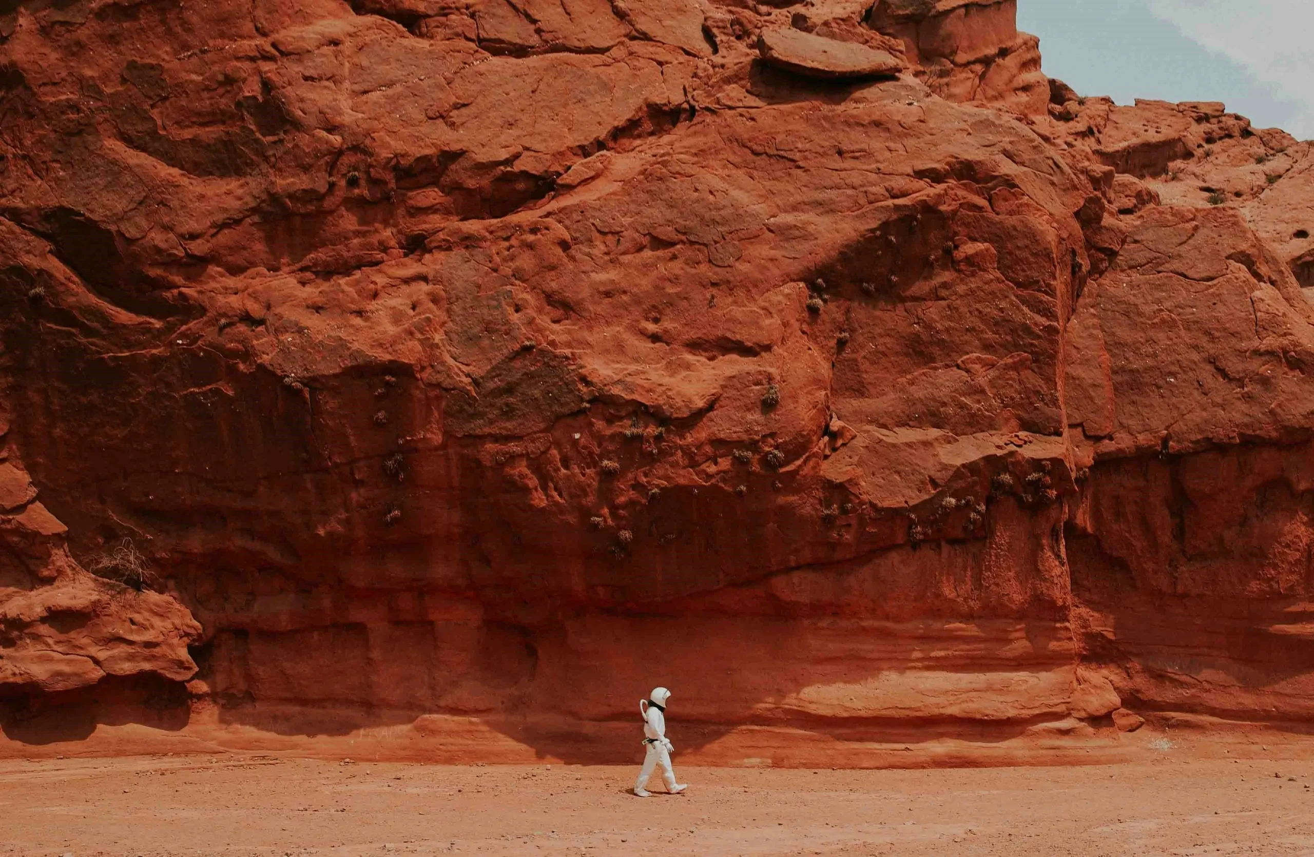 Lessons in Architecture for Mars from Popular Movies