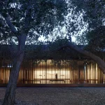 Designing Mindful Architecture: The Role of Computational Design in Mental Clarity