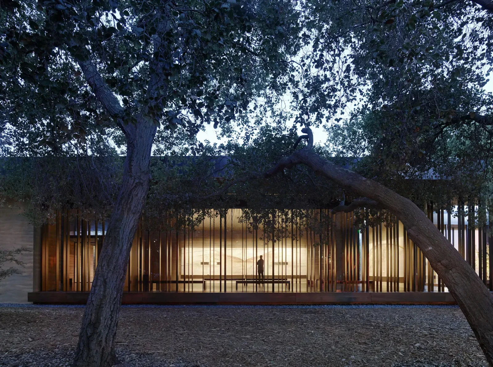 Designing Mindful Architecture: The Role of Computational Design in Mental Clarity