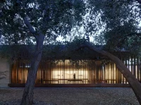 Designing Mindful Architecture: The Role of Computational Design in Mental Clarity
