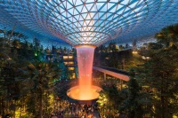 Biophilia in Architecture: Is it Sustainable?