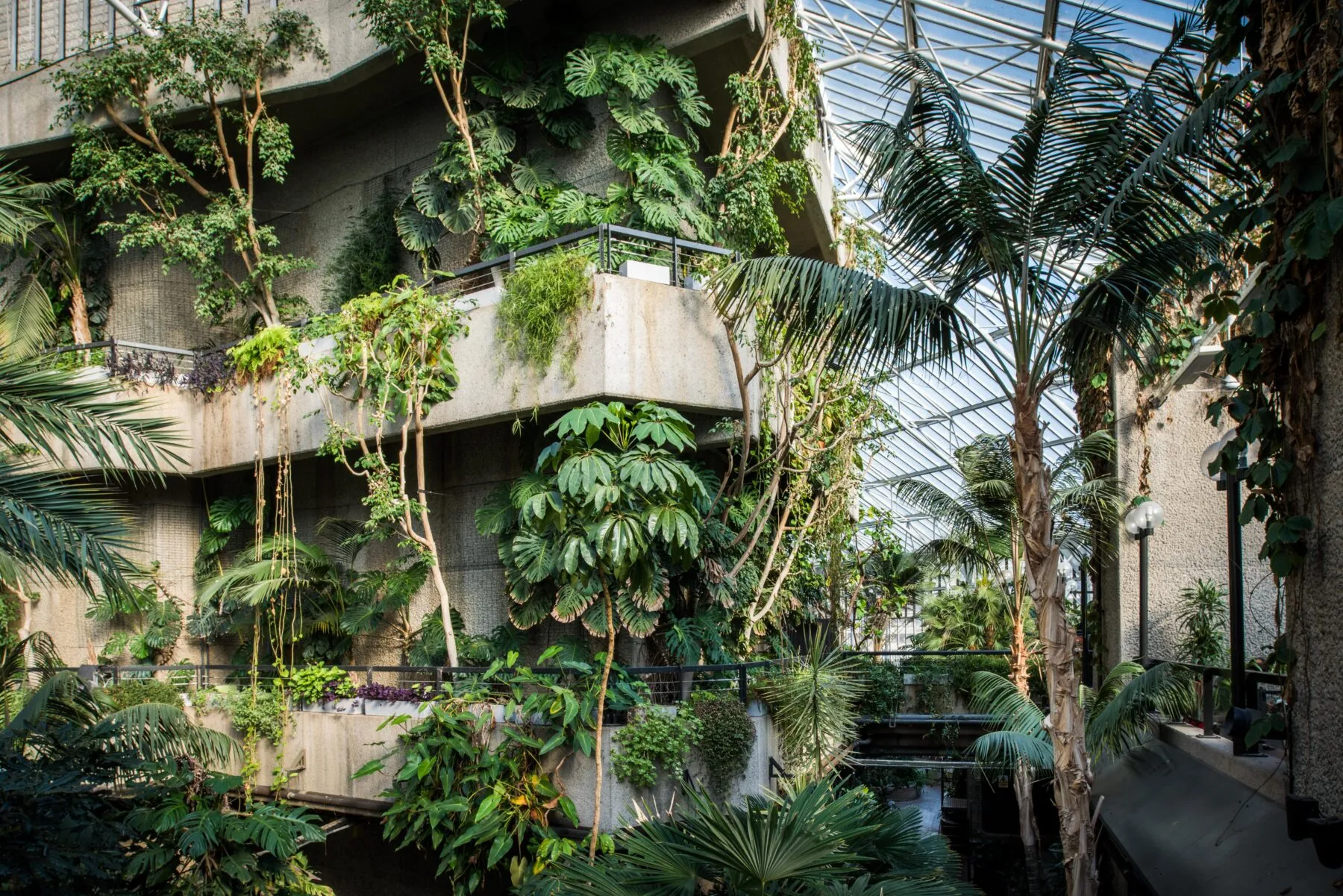 What Is Eco-Brutalism? The Rise of Sustainable Brutalist Architecture 7 What Is Eco-Brutalism? The Rise of Sustainable Brutalist Architecture