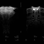 Exoskeleton Pavilion