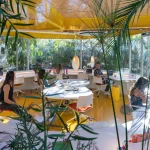 10 Biophilic Interiors That Blend Architecture with Nature