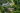 Marina Tabassum's 'A Capsule in Time' for Serpentine Pavilion 2025