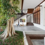 10 Biophilic Interiors That Blend Architecture with Nature
