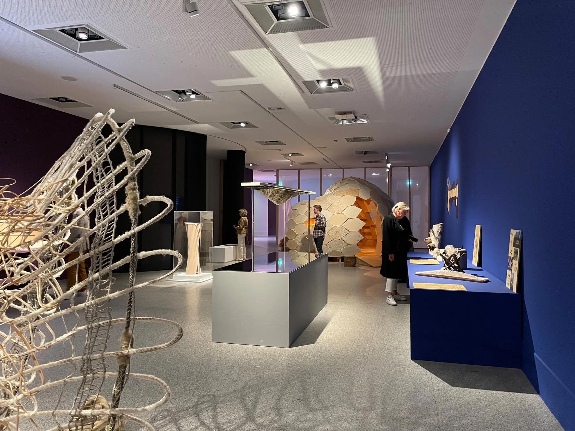 MVRDV's WEtransFORM Opens in Bonn, Challenging Architecture to Confront Climate Crisis 8 MVRDV's WEtransFORM Opens in Bonn, Challenging Architecture to Confront Climate Crisis