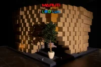 The Para-Voxel by Design Synthesis Demonstrates Sustainable Parametric Thinking