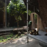 10 Biophilic Interiors That Blend Architecture with Nature