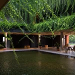 10 Biophilic Interiors That Redefine Nature-Inspired Interior Design
