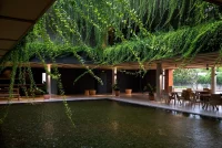 10 Biophilic Interiors That Redefine Nature-Inspired Interior Design