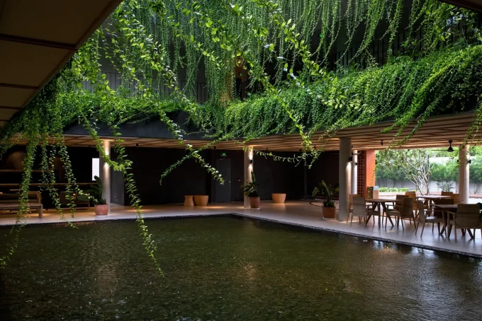 10 Biophilic Interiors That Redefine Nature-Inspired Interior Design