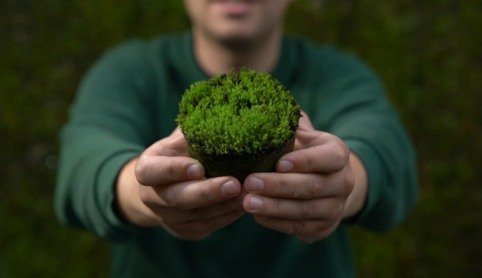 How Respyre’s Moss Concrete Is Turning Netherlands Into Living Ecosystems 5 How Respyre’s Moss Concrete Is Turning Netherlands Into Living Ecosystems