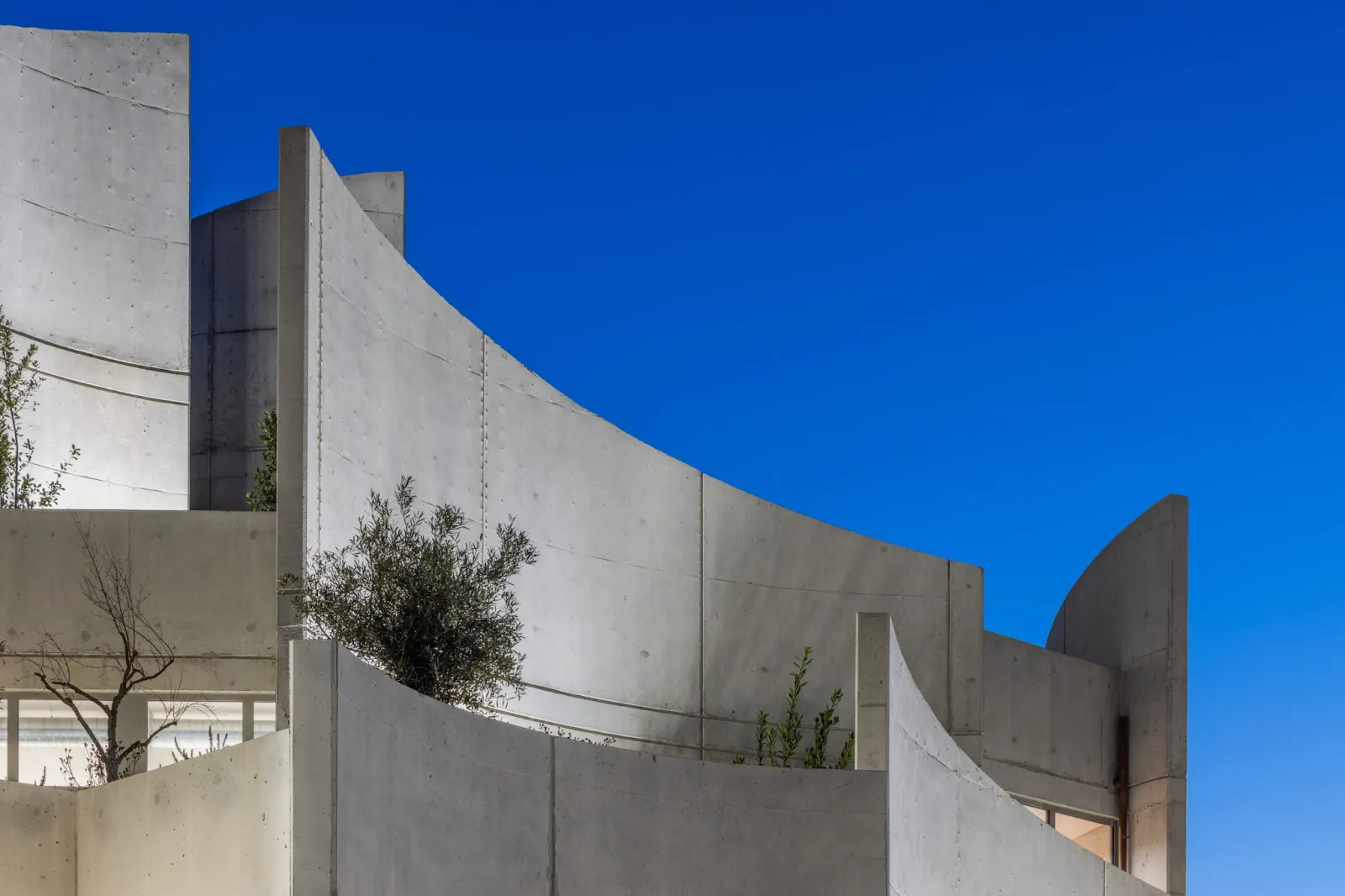 Curved Concrete Vet Hospital in Tirana by Davide Macullo Architects 3 Curved Concrete Vet Hospital in Tirana by Davide Macullo Architects