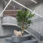 Curved Concrete Vet Hospital in Tirana by Davide Macullo Architects
