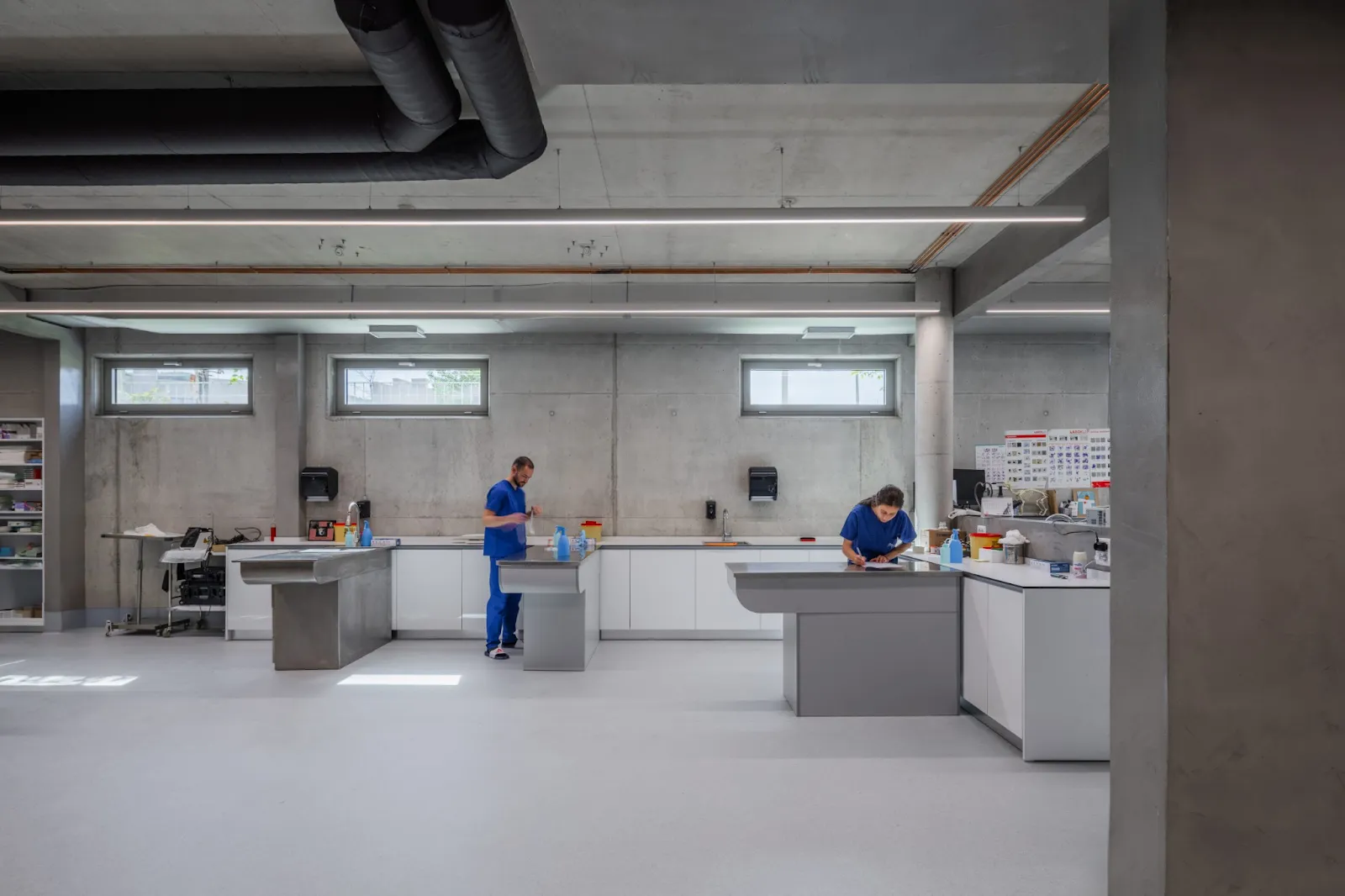 Curved Concrete Vet Hospital in Tirana by Davide Macullo Architects 10 Curved Concrete Vet Hospital in Tirana by Davide Macullo Architects