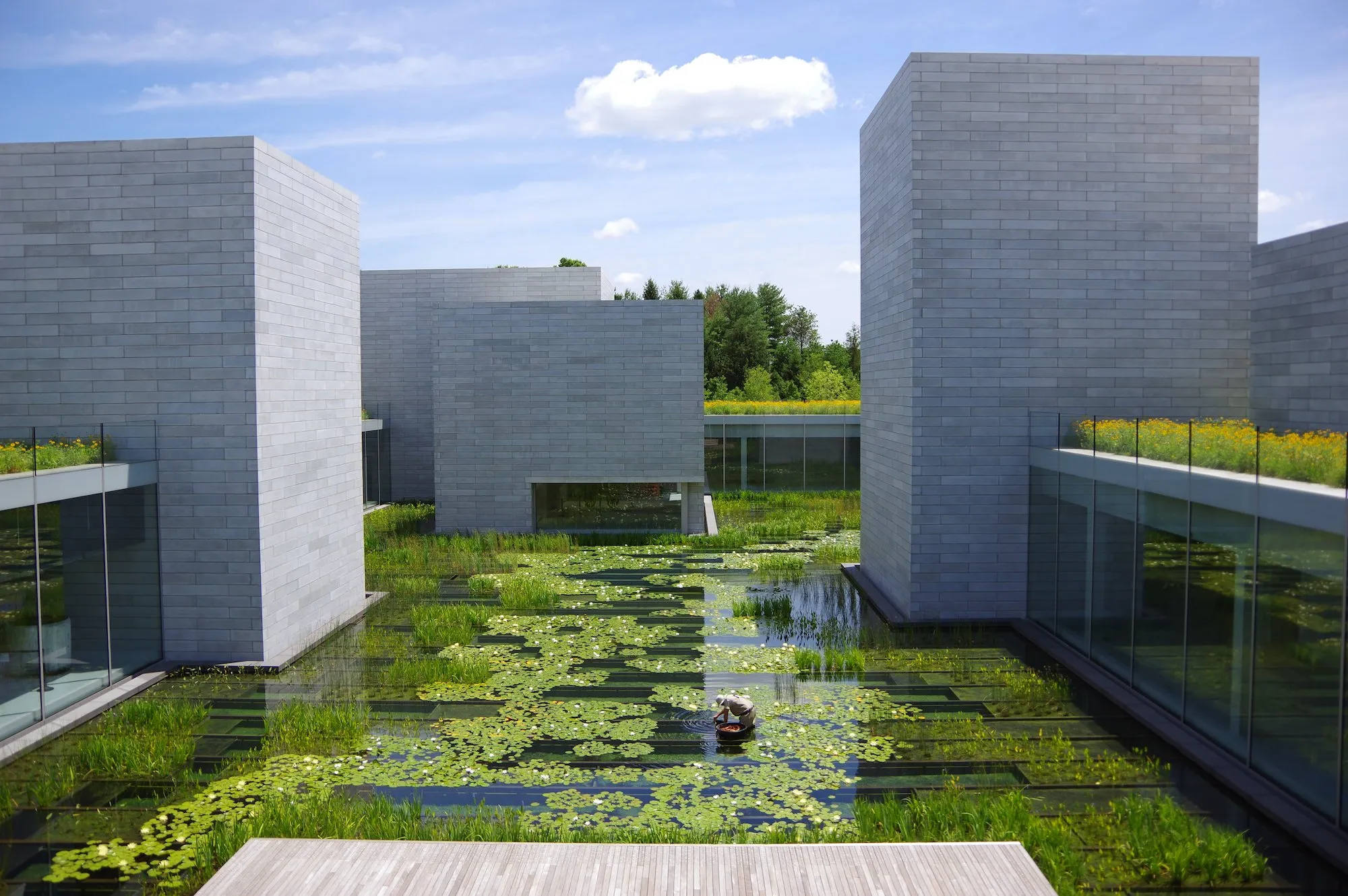 Glenstone Museum by Thomas Phifer: A Concrete Ode to Contemplation and Art