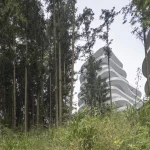 Parametric Peaks: The Algorithm Behind Huangshan Mountain Village