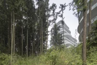 Parametric Peaks: The Algorithm Behind Huangshan Mountain Village