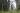 Parametric Peaks: The Algorithm Behind Huangshan Mountain Village