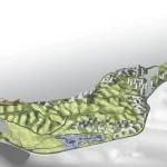 Parametric Peaks: The Algorithm Behind Huangshan Mountain Village
