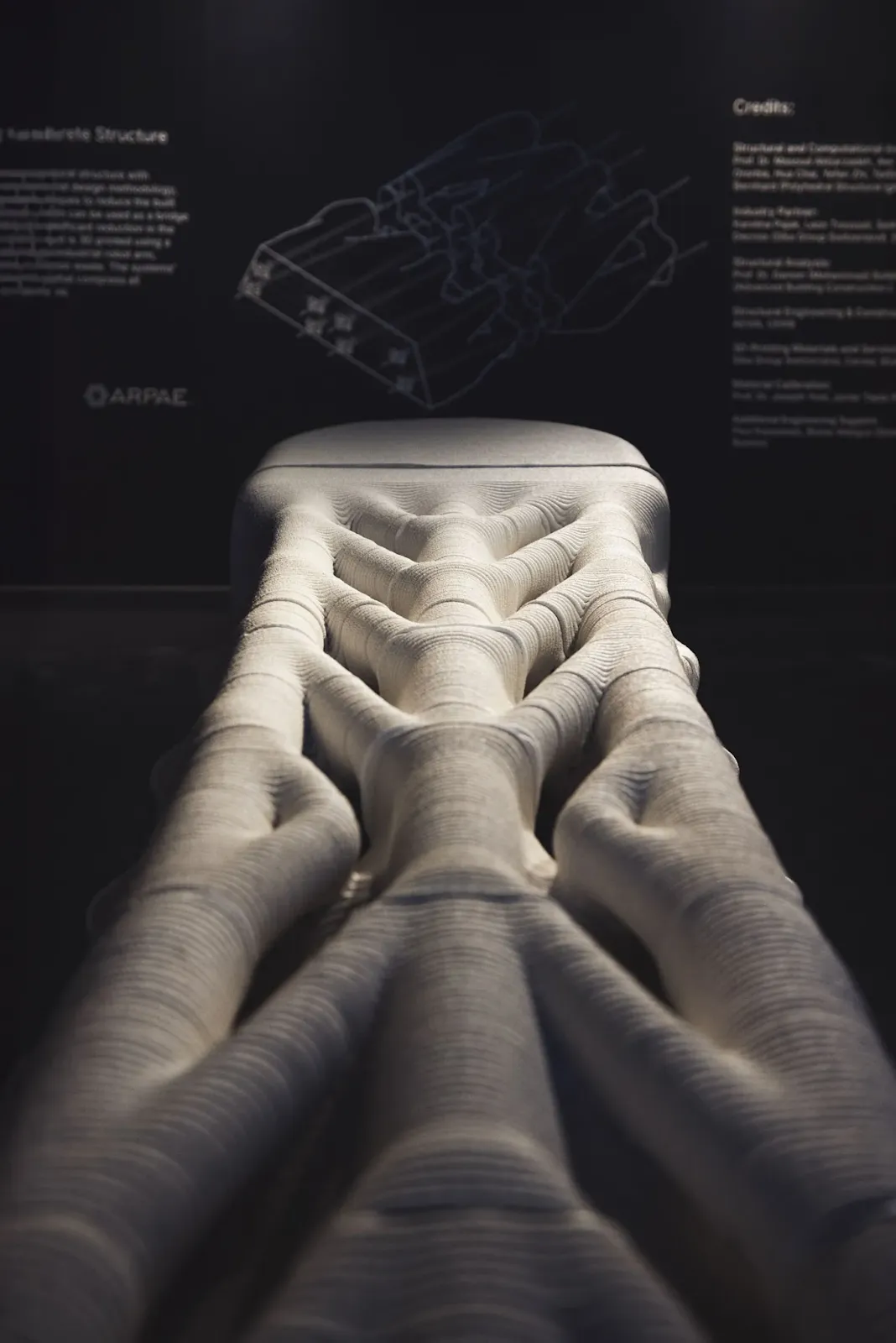 Low-Carbon 3D Printed Diamanti Bridge Debuts in Venice 9 Low-Carbon 3D Printed Diamanti Bridge Debuts in Venice