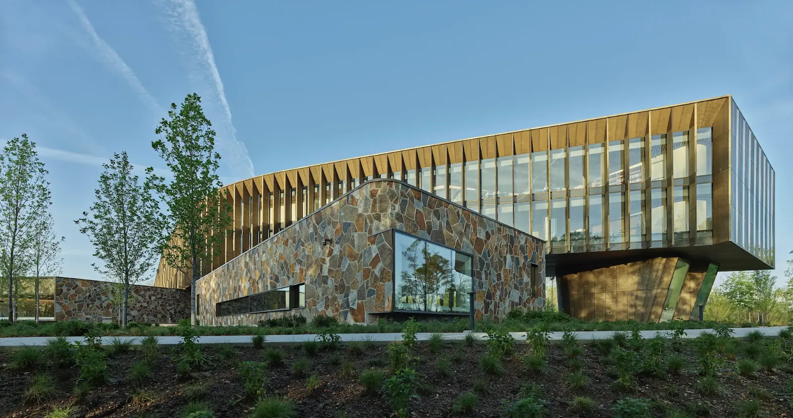 World’s Richest Woman Alice Walton Opens Medical School with Free Tuition