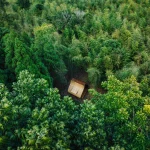 Cheng Tsung Feng’s Sticky Rice-dumpling inspired Bamboo Cabin