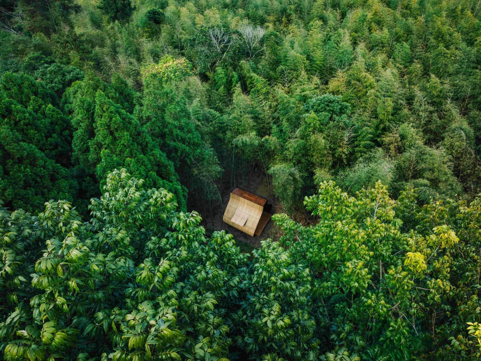 Cheng Tsung Feng’s Sticky Rice-dumpling inspired Bamboo Cabin