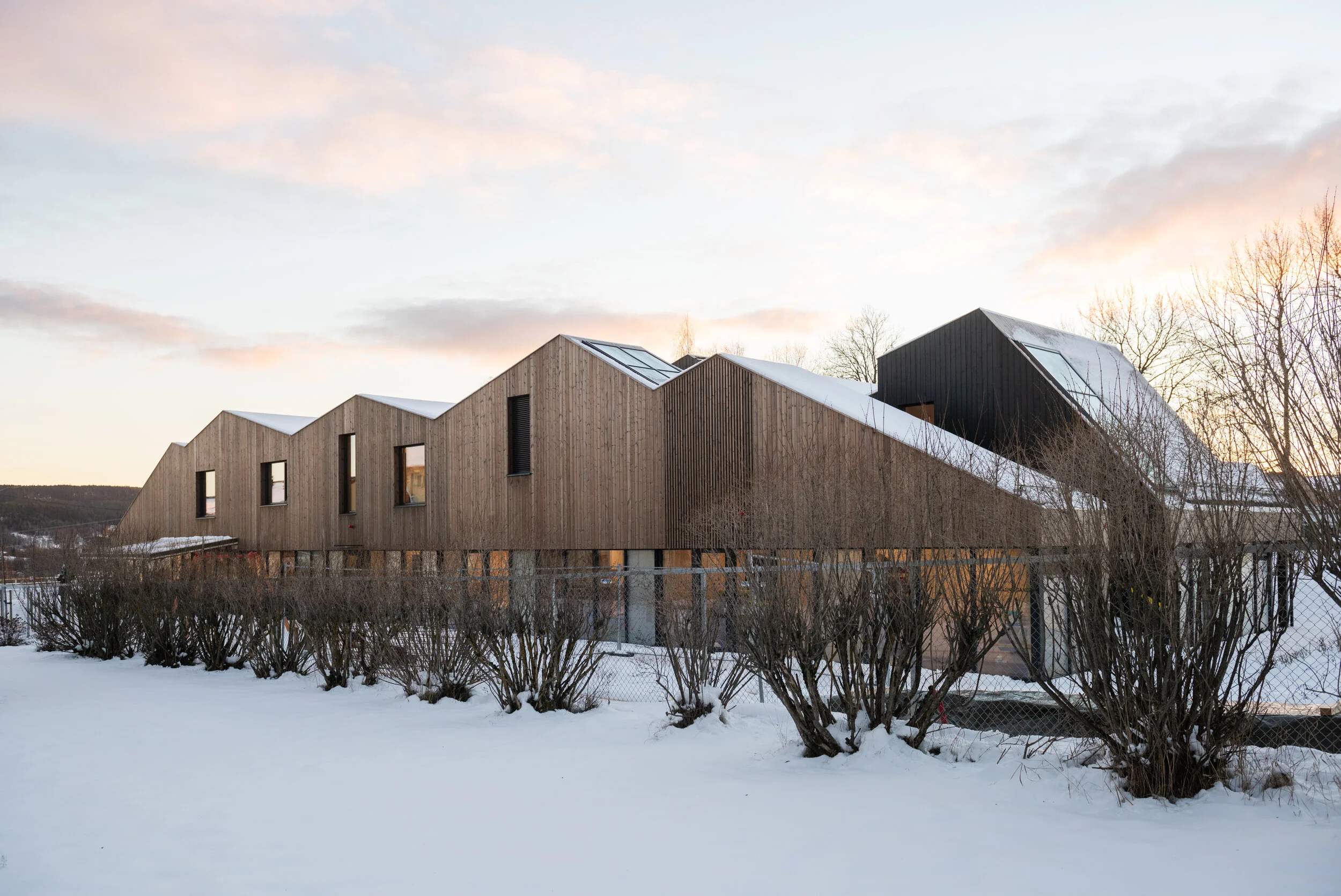 Engineered wood