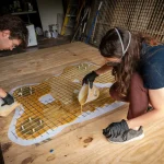 Puddle Pavilion in Iowa Explores Algae Bio-Resin as Sustainable Architecture