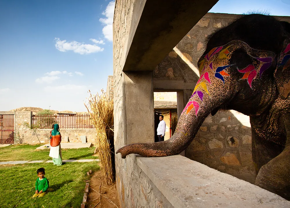 8 Inspiring Buildings Designed With Animal-Friendly Architecture 10 8 Inspiring Buildings Designed With Animal-Friendly Architecture