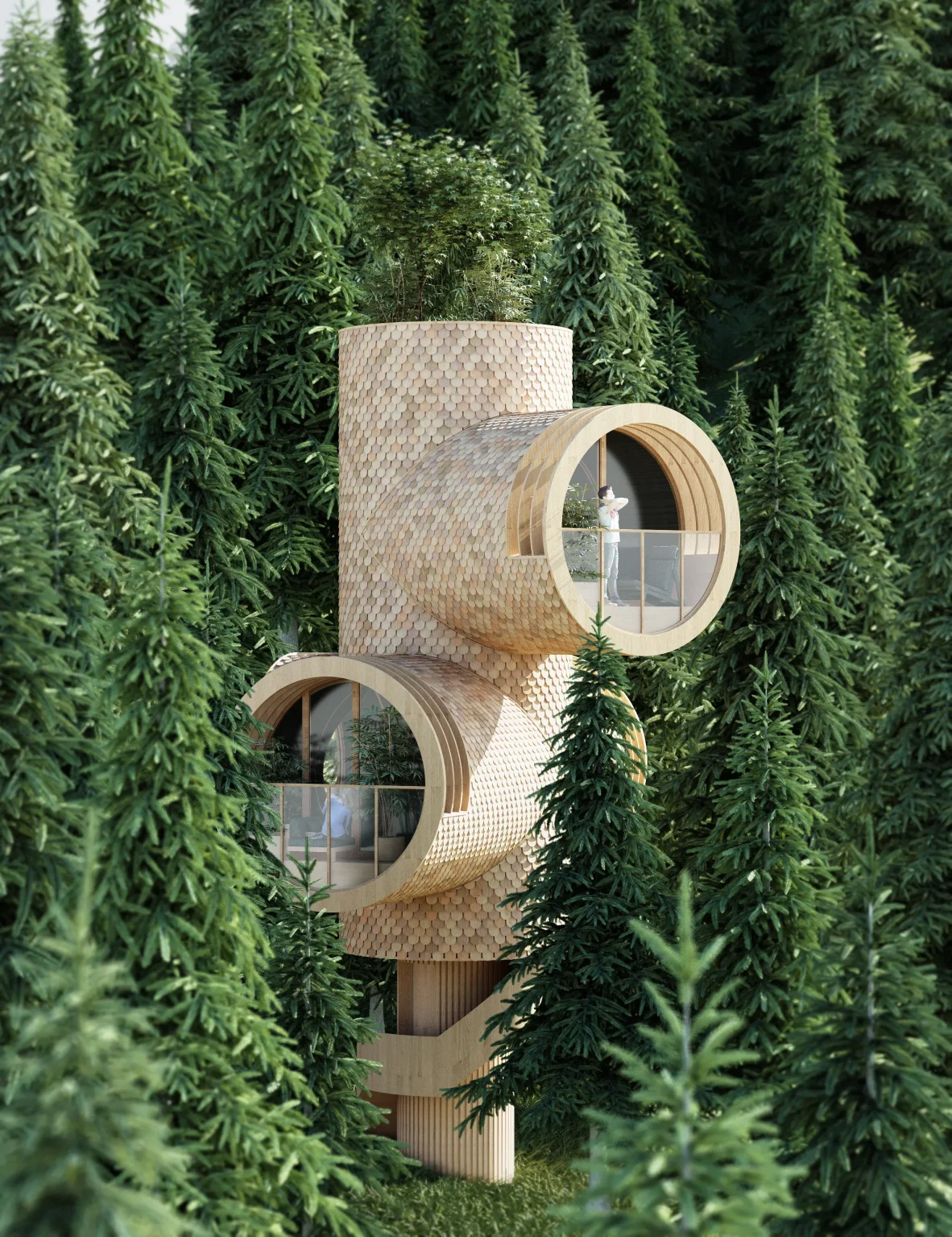 Homes in Trees, Gardens in the Sky: Architecture of Chris Precht