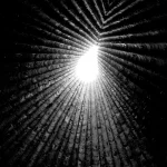 Architectural Photography