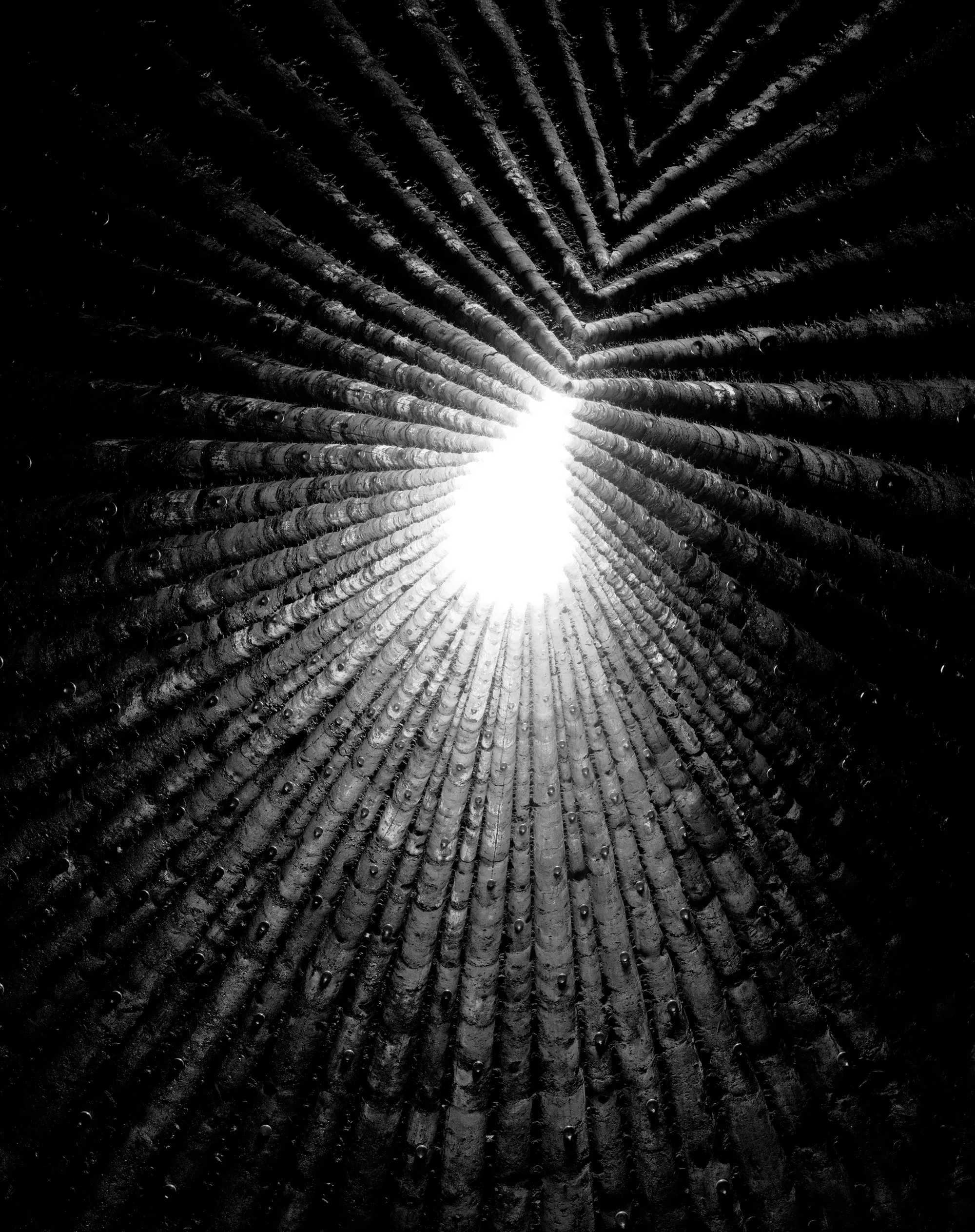 Architectural Photography