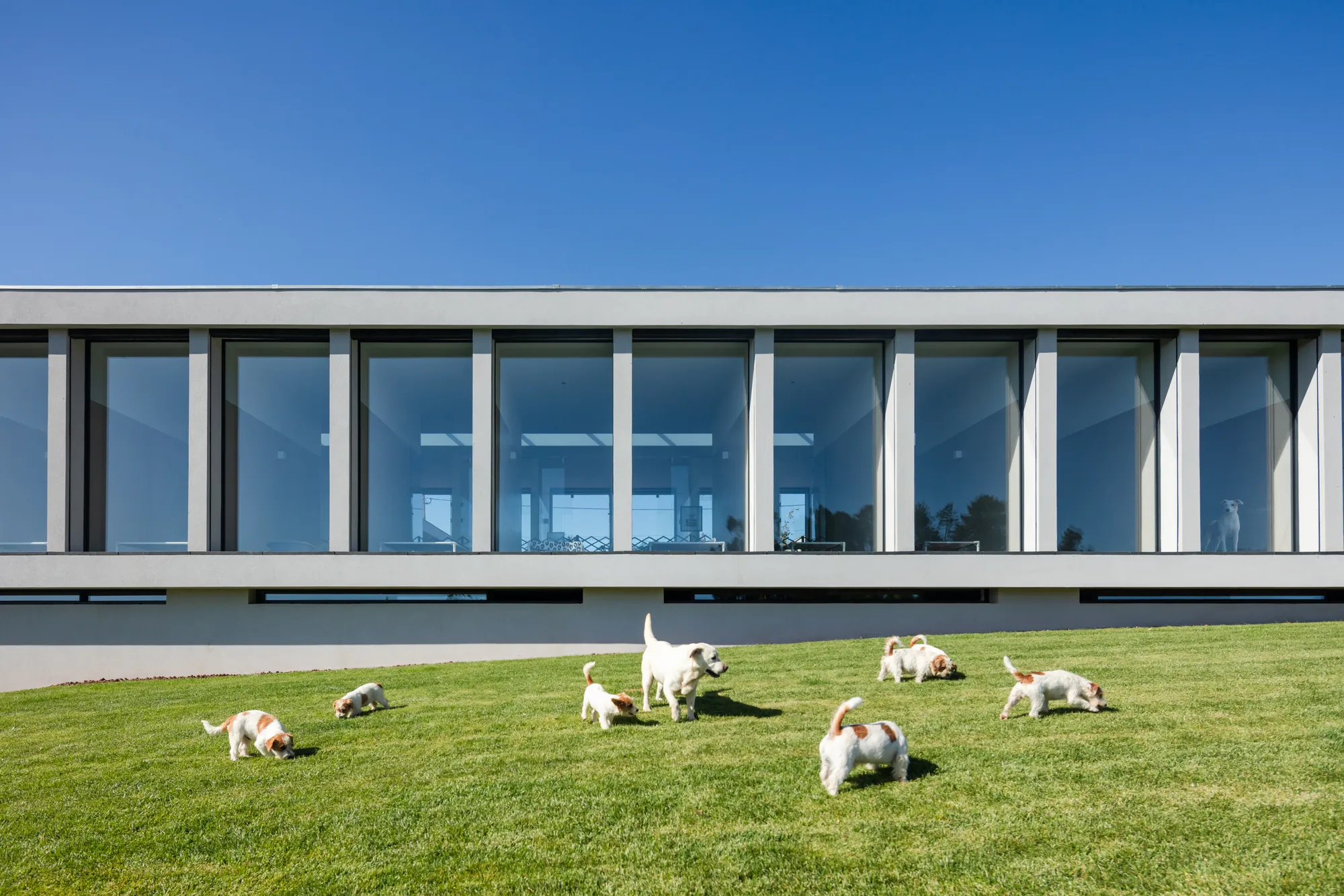8 Inspiring Buildings Designed With Animal-Friendly Architecture 6 8 Inspiring Buildings Designed With Animal-Friendly Architecture