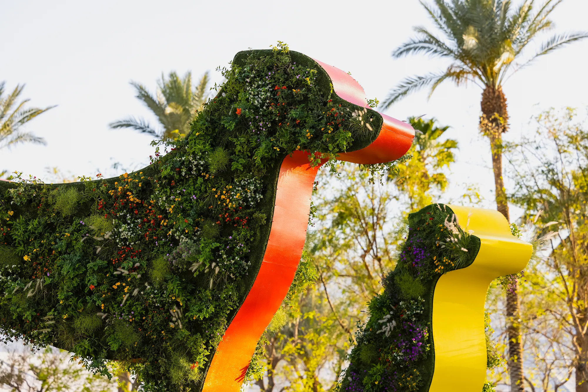Coachella Valley Music and Arts Festival