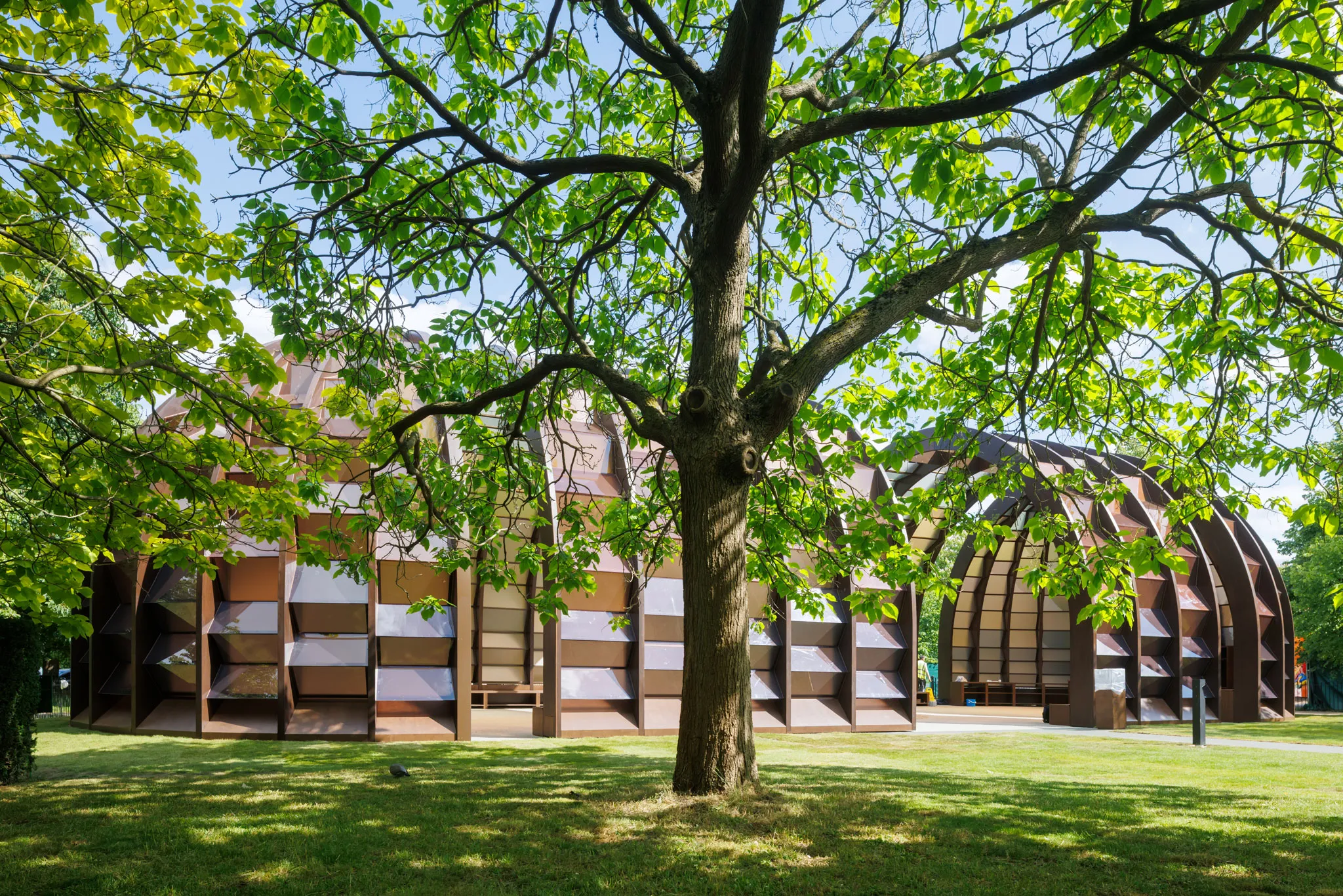Women architects