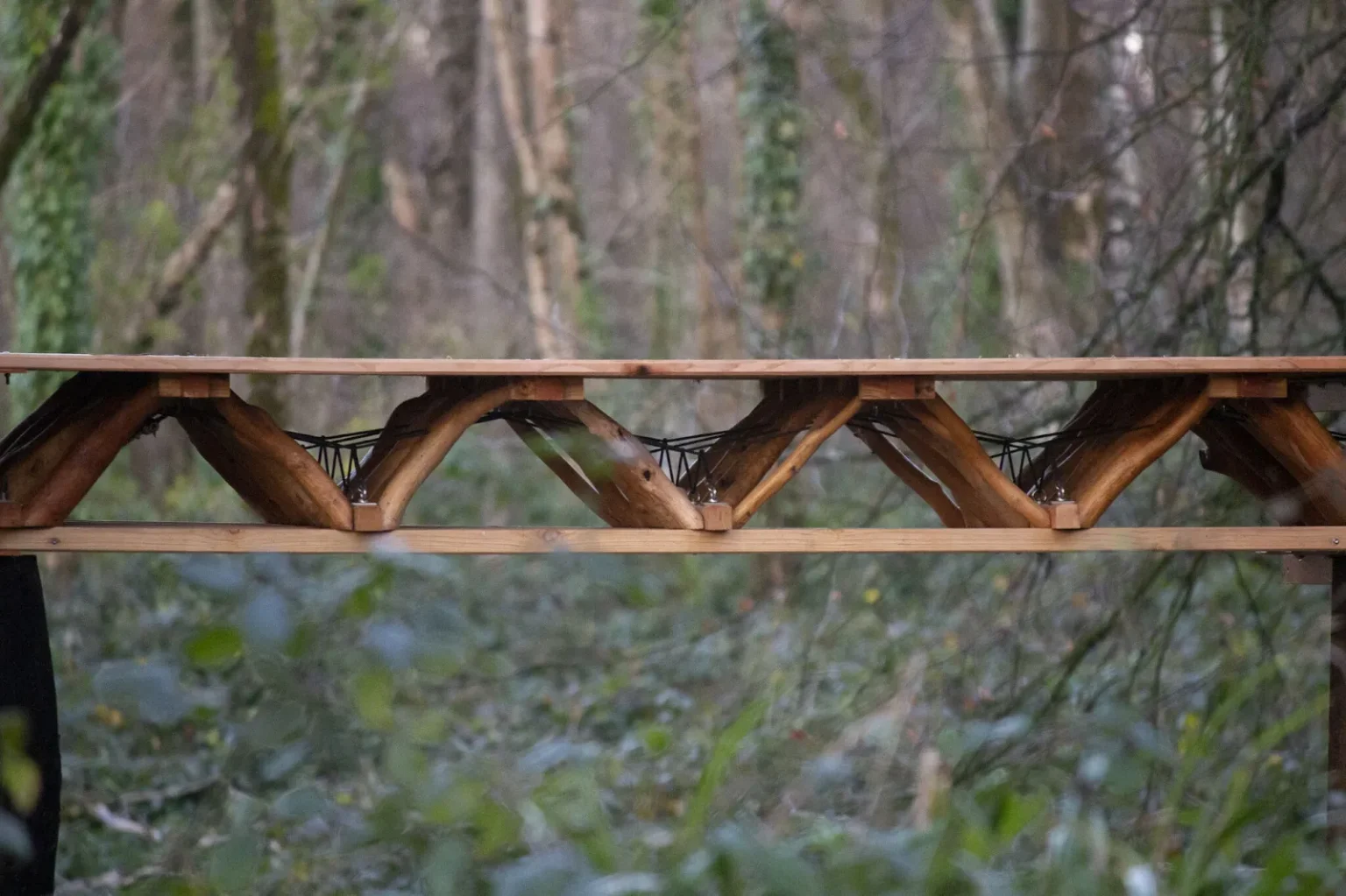 The Datum, Sustainable Timber Design, Architectural Association