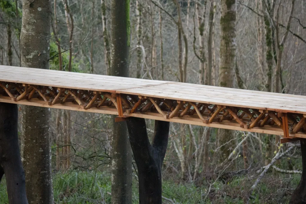 The Datum, Sustainable Timber Design, Architectural Association