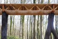 The Datum, Sustainable Timber Design, Architectural Association
